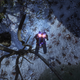 Image for article titled Anthem Is Still Pretty